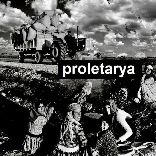 proletarya