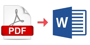 I will convert PDF to word or word to PDF