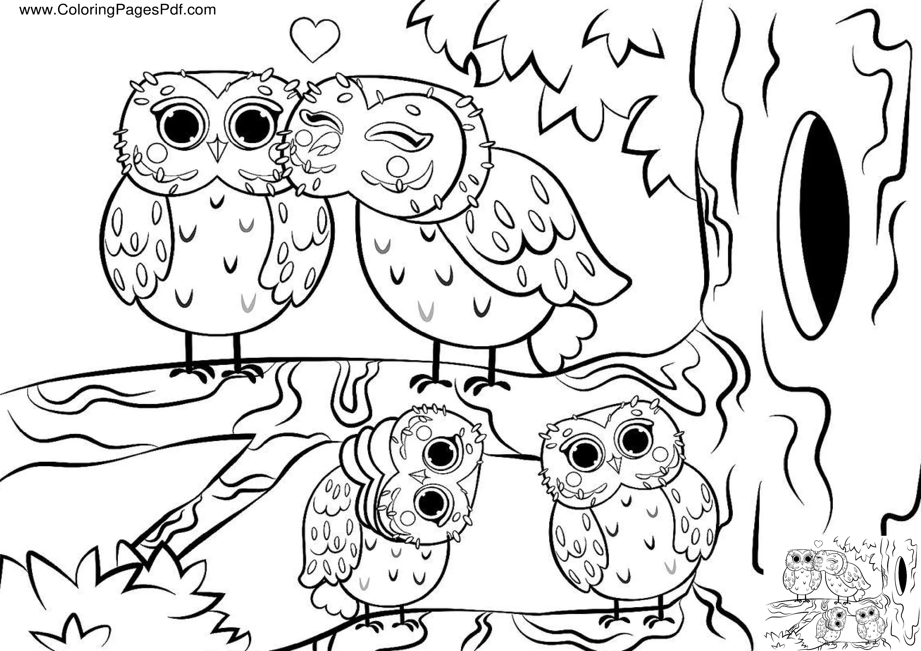 Free owl coloring pages for adults