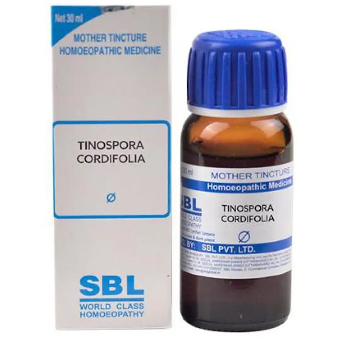 Tinospora Cordifolia Q Symptoms, Uses and Banefit