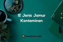 12 Jenis Jamur Kontaminan