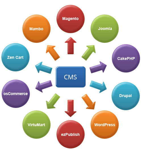 CMS development company Lahore