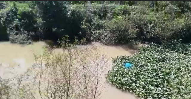   Hallan cadáver amarrado y flotando en canal de riego en Hatillo Palma - VIDEO  -VIDEO