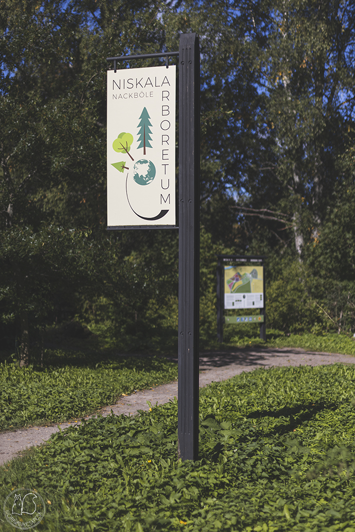 Niskala arboretum Helsinki puulajipuisto opaskyltti opaste