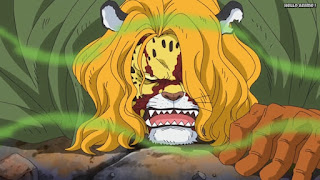 ワンピースアニメ ゾウ編 760話 | ONE PIECE Episode 760