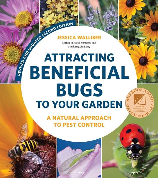 Attracting beneficial bugs to your garden