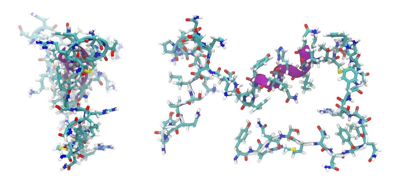 Human Growth Hormone, HGH