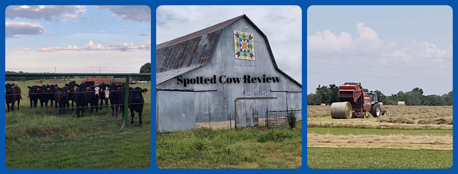 Spotted Cow Review