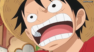 ワンピースアニメ ゾウ編 766話 ルフィ Monkey D. Luffy | ONE PIECE Episode 766