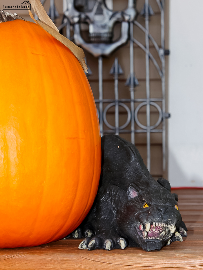 Rat and pumpkin