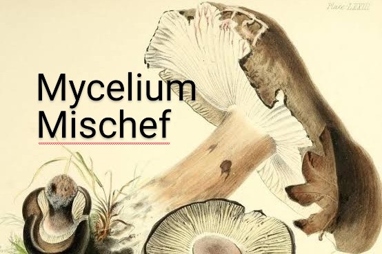 Mycelium Mischef