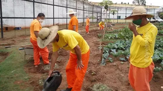 trabalho presos economia 44 milhoes ano