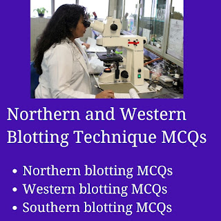 Northern and Western Blotting Technique MCQs most probably ask in CSIR NET Exam