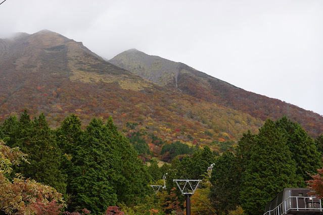 美しい大山の紅葉