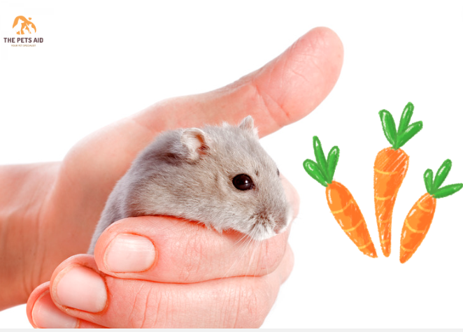 Djungarian Hamsters to Have Carrots