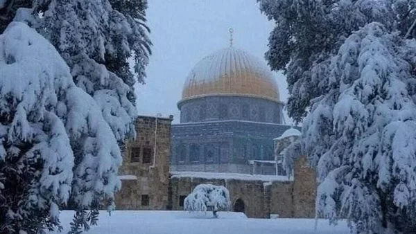الأقوى منذ سنوات .. منخفض "روبين" القطبي يشق طريقه إلينا بعد أن أغرق تركيا بالثلوج