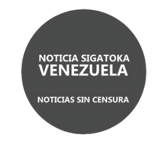 Noticia Sigatoka Venezuela