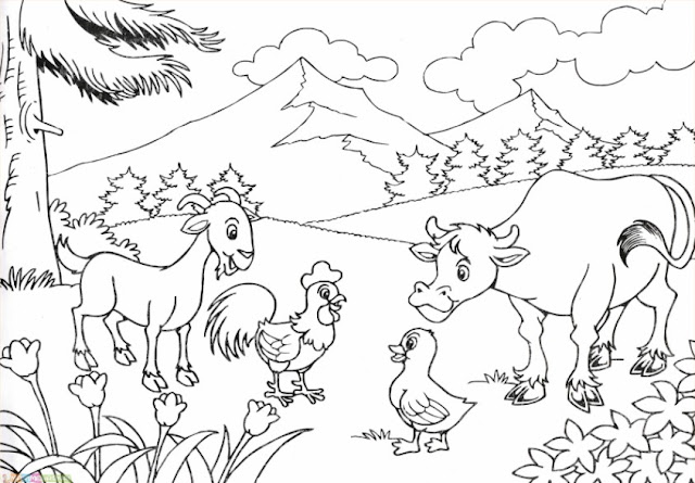 cow pictures for kids