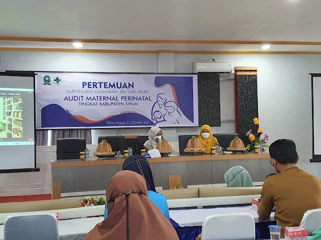 Dinkes Sinjai Gelar Audit Maternal Perinatal Upaya Turunkan Angka Kematian Ibu dan Anak