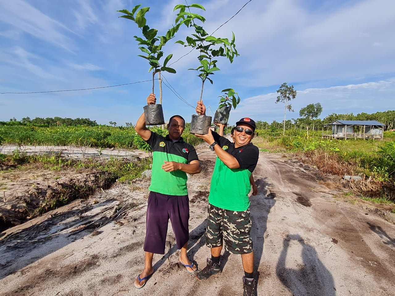LDII Sampit Aksi Tanam Pohon di Lahan Gambut