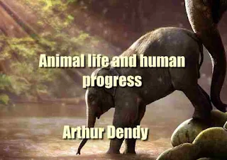 Animal life and human progress