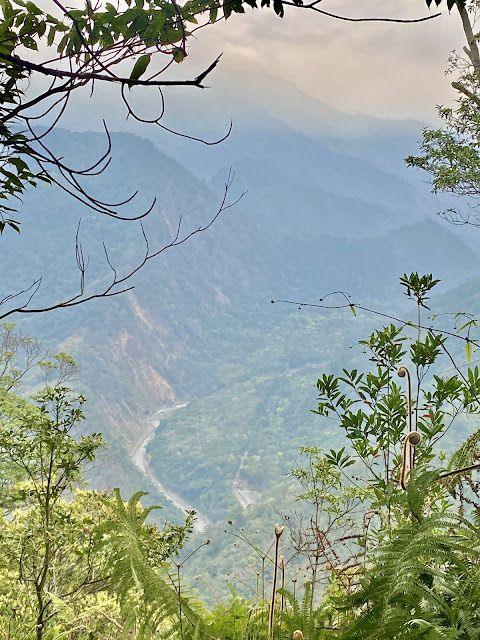 往我音山--俯瞰惠蓀林場