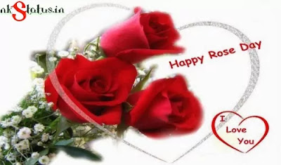 Red Rose Day Flower Images