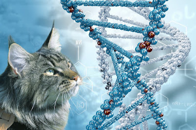 Animal Genetics Marke