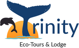 Trinity Eco Tours