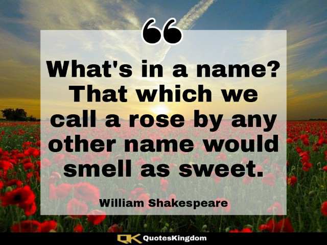 Shakespeare thought. Shakespeare's quote. What's in a name? That which we call a rose by any ...