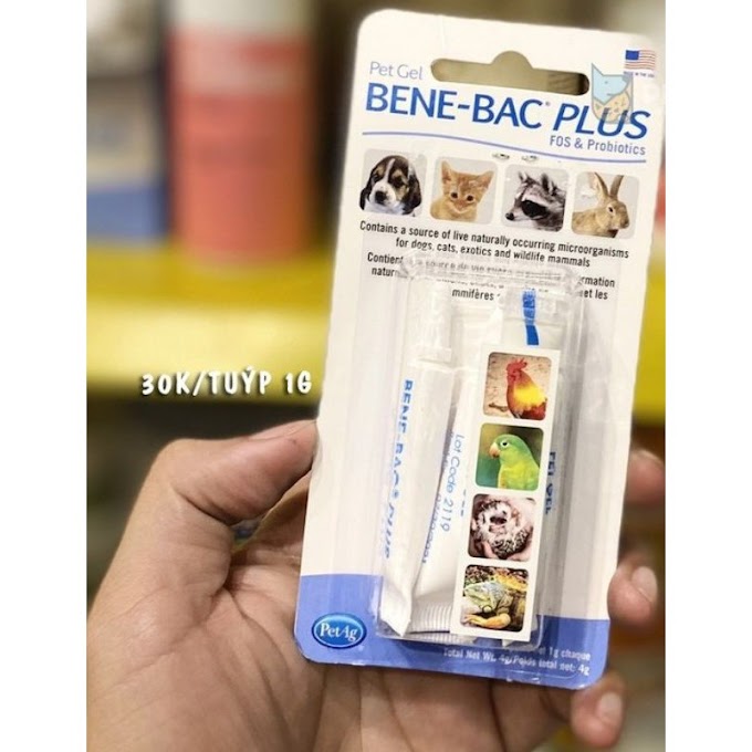 [ pet_king99 ] [Mã 2611TIEUDUNG100K giảm 8% đơn 500K] 🐕1tuýp🐶 gel bene bac plus men tiêu hoá cho chó mèo , chim thỏ