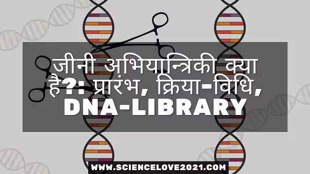 जीनी अभियान्त्रिकी क्या है?:प्रारंभ, क्रिया-विधि,DNA-Library|hindi