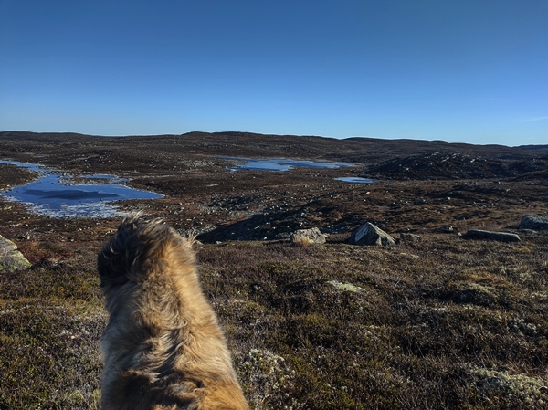 Sørbølfjellet Dyttholfjellet