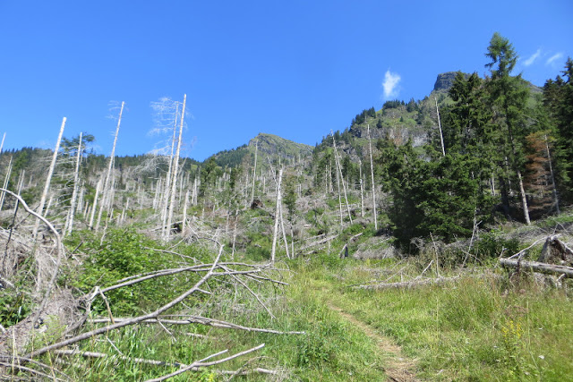 valle di san lucano escursione col di pra