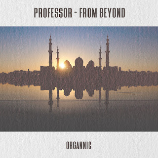Professor - From Beyond Download