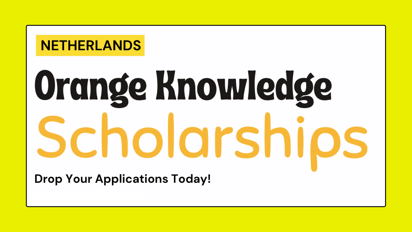 منحة برنامج Orange Knowledge (OKP) 2022-2023 - الدراسة مجانًا في هولندا