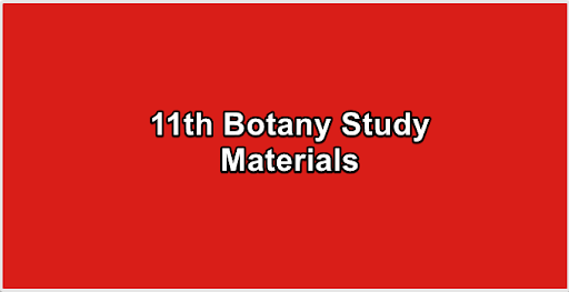 11th Botany Study Materials