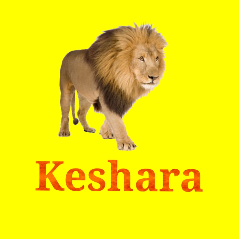 Keshara Media