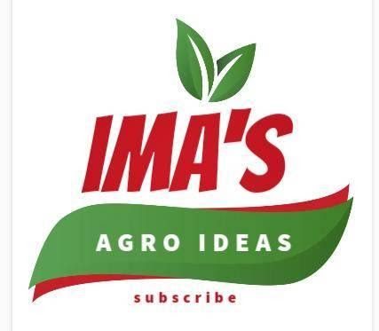 IMA'S AGRO IDEAS