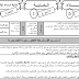 جذاذات الوحدة الخامسة مرجع المفيد في اللغة العربية للمستوى الرابع 
