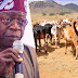 Fulani Herdsmen Prefer Tinubu To Be President Than Others– Miyetti Allah Says