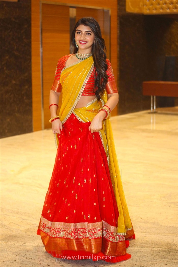 Telugu Actress Sreeleela in Silk Saree