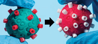 Change in spike protein