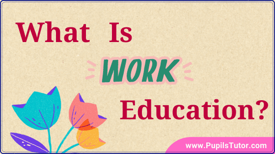 What Is Work Education In Simple Words? | Concept And Meaning Of Work Education | Why Is Work Education Important For Development? | Definition Of Work - pupilstutor