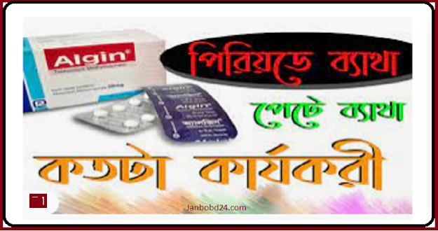 Algin এর কাজ কি