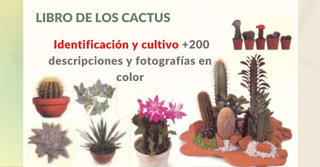 Libro de los cactus, identificación y cultivo +200 descripciones y fotografías en color
