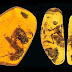 These Are the Most Ancient Frogs Ever Found Preserved in Amber