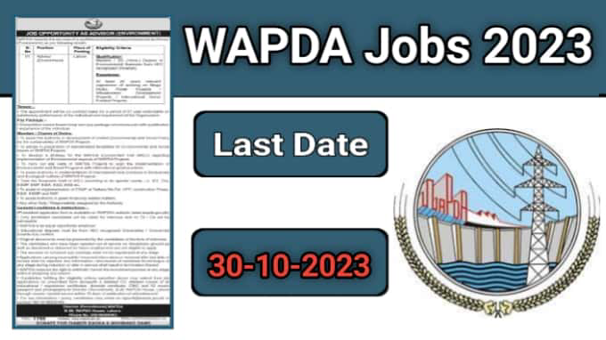 WAPDA Jobs 2024 as Advisor Environment