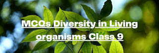 MCQs on Diversity in Living organisms class 9