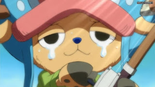 ワンピースアニメ WCI編 783話 チョッパー | ONE PIECE Episode 783